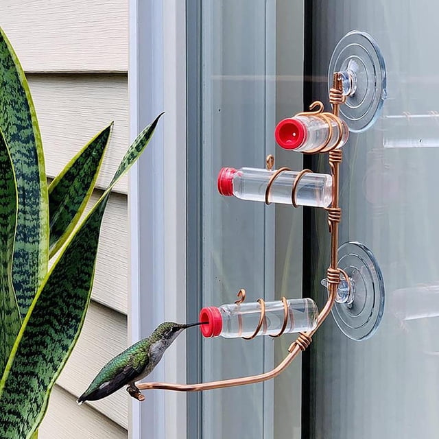 Alimentador de colibrí colgante de ventana moderno con ventosa para alimentación de pájaros de jardín al aire libre ZefeiWu 8390613051738