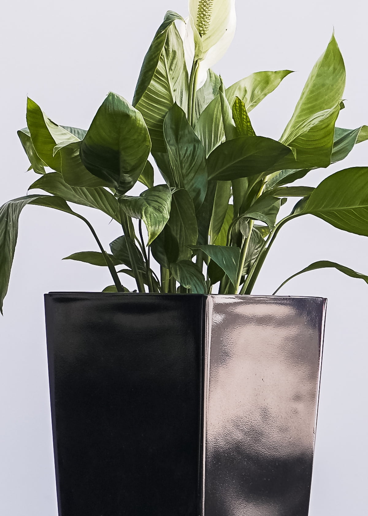 XBrand 22.4" H Black Plastic Self Watering Indoor Outdoor Square Planter Pot, Tall Decorative Gardening Pot, Home Décor Accent