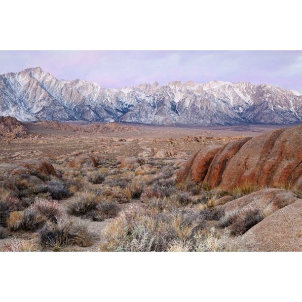 California Lone Pine Peak And Mt Whitney By Don Paulson Item Varpdxus05bja05 Walmart Com California Lone Pine Peak And Mt Whitney By Don Paulson Item Varpdxus05bja05 Walmart Com