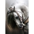 thumbnail image 2 of Cuadros Decorativos Kits de punto de cruz 11CT Estampado DIY Caballo Mosaico Artesanía de algodón ecológico Ndcxsfigh  Nuevos Originales, 2 of 8