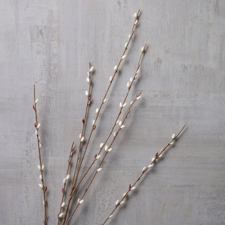 Faux Pussy Willow Stem - Off-White