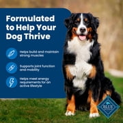 Blue Buffalo Life Protection Formula Adult Dry Dog Food, Chicken & Brown Rice, 5 lbs.