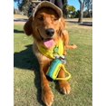 thumbnail image 2 of Peluche divertido con forma de palo de golf PUPROAR para perros con chirriador y arrugas, 2 of 4