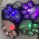 thumbnail image 4 of Wireless Set of 4 Solar Dog Print Lights warm light, 4 of 5