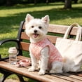thumbnail image 2 of Graffiti Pattern Ice Silk Pet Sleeveless Vest Breathable Mesh Cooling Tank Top with Built-in D-Ring for Small Medium Dogs Cats Summer Daily Walking(Light Pink-S-35cm), 2 of 9