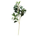 thumbnail image 1 of Artificial Branch Decoration Leaves Plant Terrarium Tank Decor Climb Rest for Reptile Lizard(B), 1 of 8