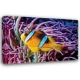 thumbnail image 1 of Lee Peterson 32x23 Gallery Wrapped Canvas Wall Art Titled - Fish II, 1 of 4