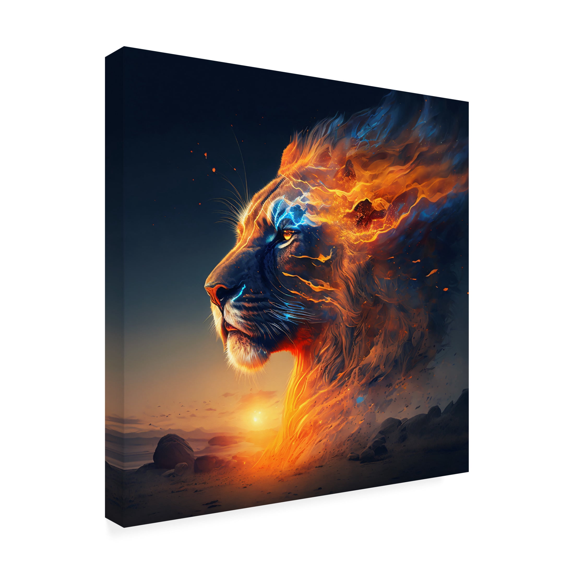 Canvas Wall Art - Ray Heere 'Desert Of Dreams 1' Wall Art for Living Room, Bedroom, or Office Décor by Trademark Fine Art - 18 x 18 Inches
