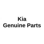 Kia Genuine Filter Assembly Replacement Part, 8oz