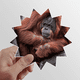 thumbnail image 1 of Animales salvajes terrestres organismo Orang Utan Calcomanías solares de vinilo, 1 of 3