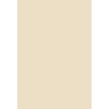 Photography Backdrop Solid Color Photo Background for Photographers Studio MW-185
