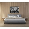 thumbnail image 4 of Tree of Wisdom Photography Canvas Art 30 x 20, 4 of 5