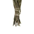 thumbnail image 4 of Vickerman 14-18" Spring Green Stoebe Bundle, Preserved, 4 of 4