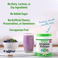 thumbnail image 5 of Orgain Organic Vegan Protein Powder, Vanilla Bean - 21g Plant Based Protein, 4g Prebiotic Fiber, No Lactose Ingredients, No Added Sugar, Non-GMO, For Shakes & Smoothies, 1.02 lb (Packaging May Vary), 5 of 5