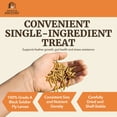 thumbnail image 5 of Premium Poultry 10 lb Dried Black Soldier Fly Larvae Chicken Feed Protein Treats, 5 of 11