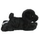 thumbnail image 2 of Peluche Aurora Blackie 20.32cm Mini Flopsie, 2 of 4