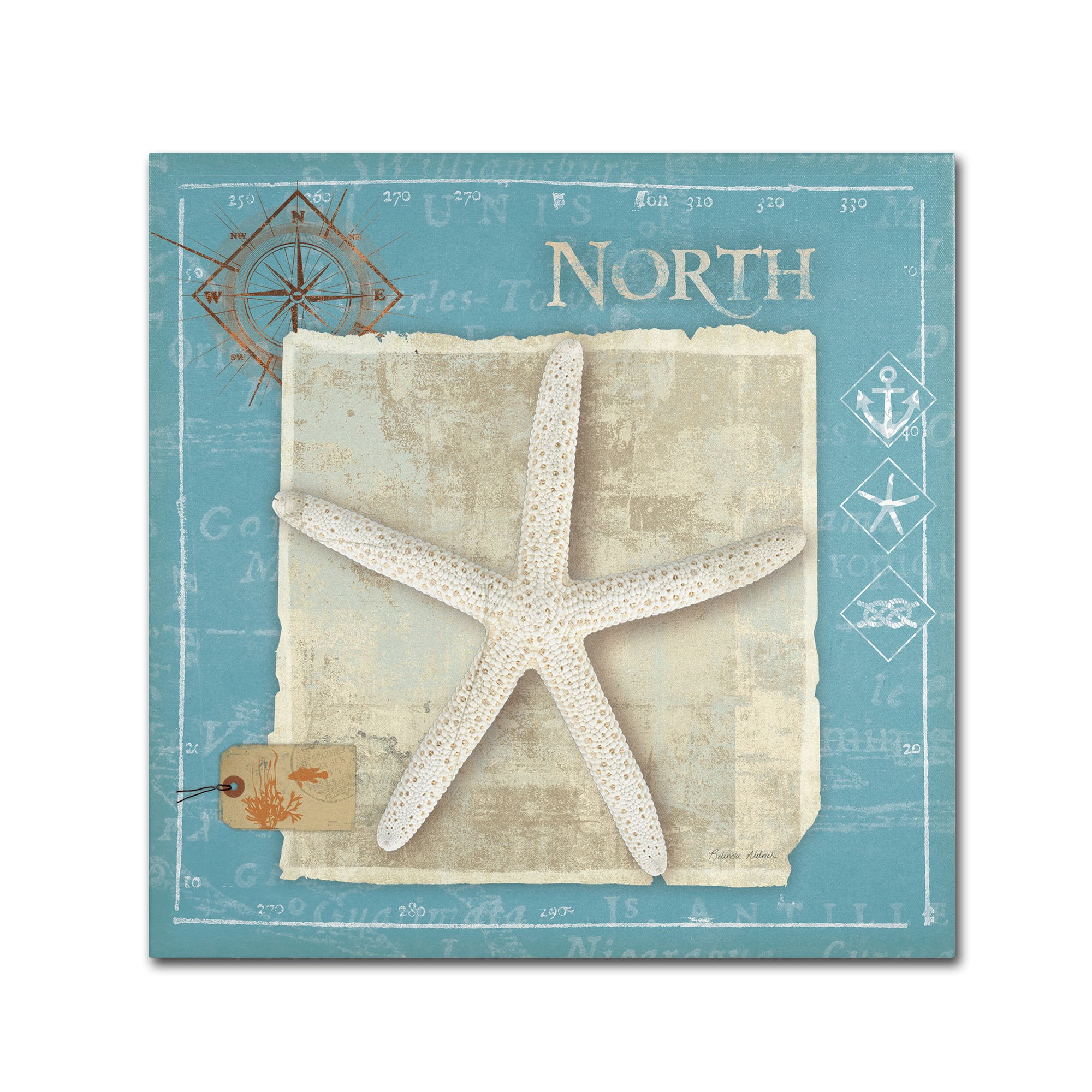Trademark Fine Art "Points North" Canvas Art by Belinda Aldrich