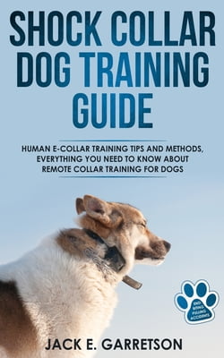 e collar dog trainers near me