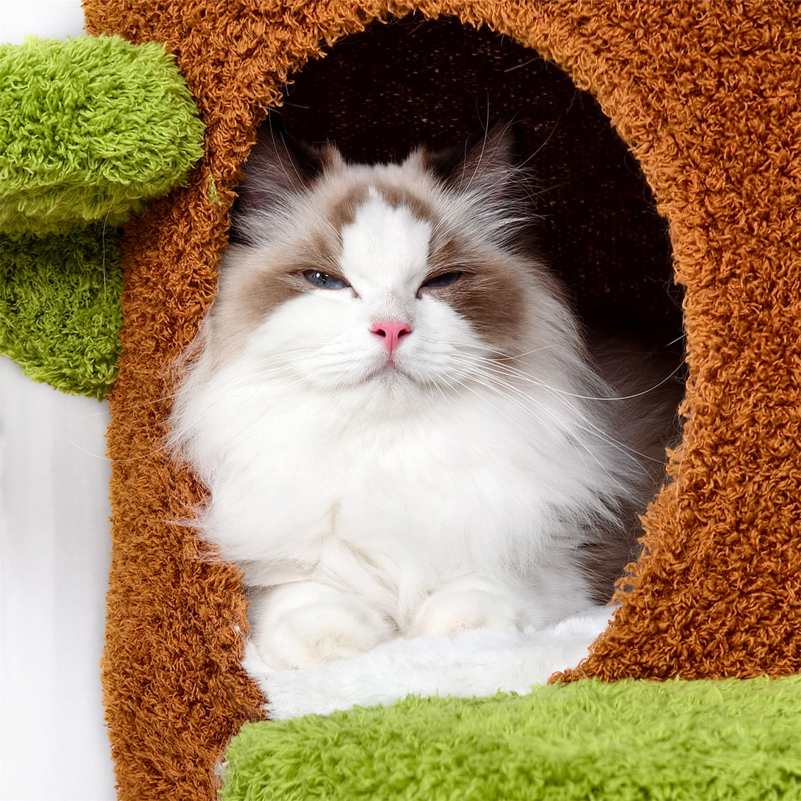 BingoPaw Indoor Cat Tree Tower Multi-Level Cat Climbing Tree Activity Center with Plush Stairs Condo
