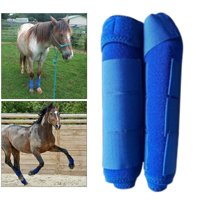 1 Leg Equestrian Front Hind don Boot Leg Horse Training Jumping Boot Leg Protective Gear Impact-Absorbing, Breathable - Tibetan Blue