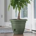 thumbnail image 2 of Bloem LP1042 10 Po Lucca Planter&44; Vivant Vert, 2 of 5