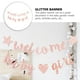 thumbnail image 4 of Bienvenido Baby Banner Baby Shower Hanging Flag Banning Género Revelación Decoración de la fiesta, 4 of 6