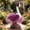 Purple, variant on Chiffon Skirt Dress-Up Set With Matching Headwear For Porch Goose Statue, Elegant Garden Lawn Outdoor Display Decor For Spring Summer Parties Prop