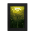 thumbnail image 1 of Tulip Greenery Flower Desktop Photo Frame Picture Display Art Painting Exhibit, 1 of 3