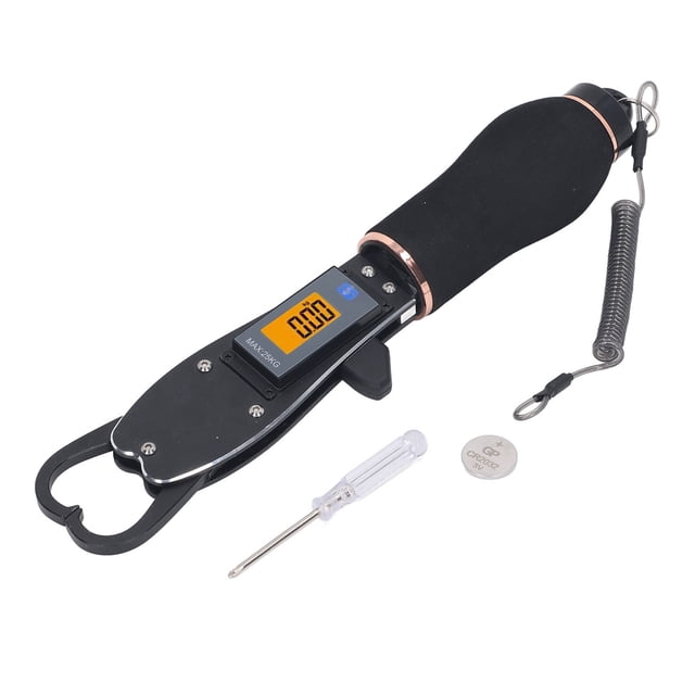 Soporte portátil para labio de pez de aleación de aluminio, 25 kg, 240 mAh, antideslizante, con báscula electrónica para pesca.