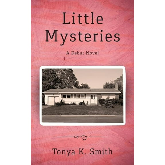 Little Mysteries: A Debut Novel, (Paperback)