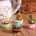 thumbnail image 3 of WHAMVOX Succulent Plants Microlandschaft Memo Clips Message Photo Holder Stand (Cactus ), 3 of 8