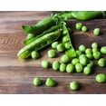 thumbnail image 7 of Organic Whole Dried Green Peas, 15 Pounds — Non-GMO, Raw, Sproutable, Kosher, Vegan — by Food to Live, 7 of 7