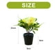 thumbnail image 2 of Cymbidium de tres cabezas con flores falsas, pequeño bonsái, decoración creativa, simulación de flores artificiales, planta verde, planta en maceta, 2 of 5