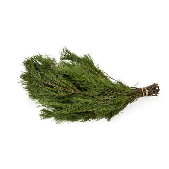 Expert Gardener 6 Inch Bough Bundle Bouqet Fresh Cut Pine Holiday Greens Live Plants