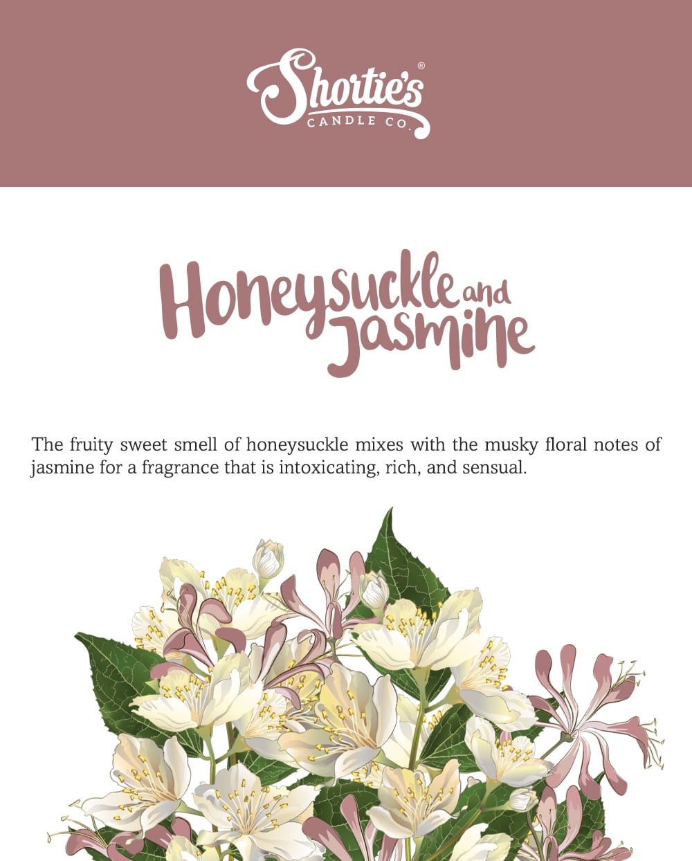 Honeysuckle Jasmine Scented 3 Wick Candle - All Natural - Made with 100% Responsibly Sourced Soy and Essential Fragrance Oils - Phthalate & Paraffin Free, Vegan, Non-Toxic