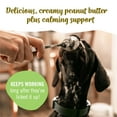 thumbnail image 6 of Pet Naturals Busybutter Calming Peanut Butter for Dogs, Stress and Anxiety Support, 1.5 oz., 6 of 12