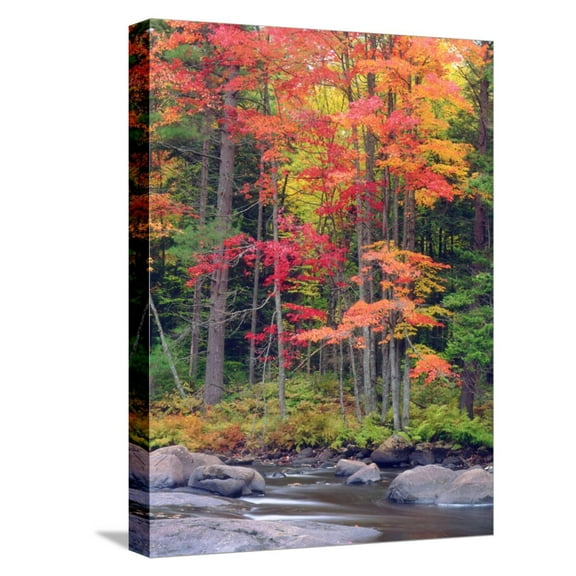 Art.com Autumn in the Adirondack Mountains, New York, Usa Stretched Canvas Print Wall Art by Christopher Talbot Frank, 12" x 16"