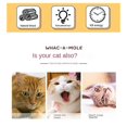 thumbnail image 5 of Cats Interactive Toy Chase Hunt Mouse with Scratcher Funny Cat Stick, 5 of 5