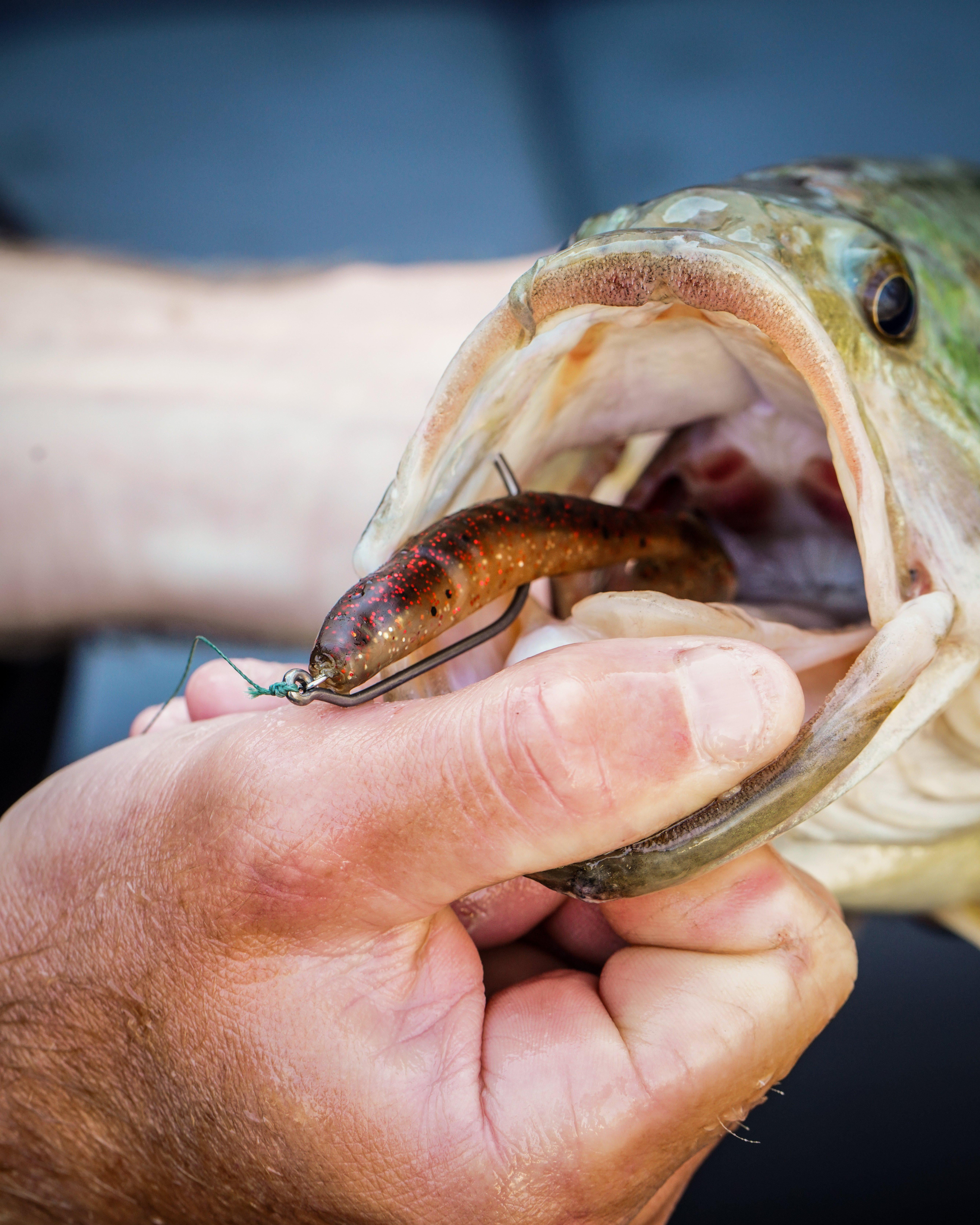PowerBait® Grass Pig