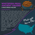 thumbnail image 2 of Blackwood Dry Dog Food Large Breed Whitefish Meal with Ancient Grains 10 lb., 2 of 8