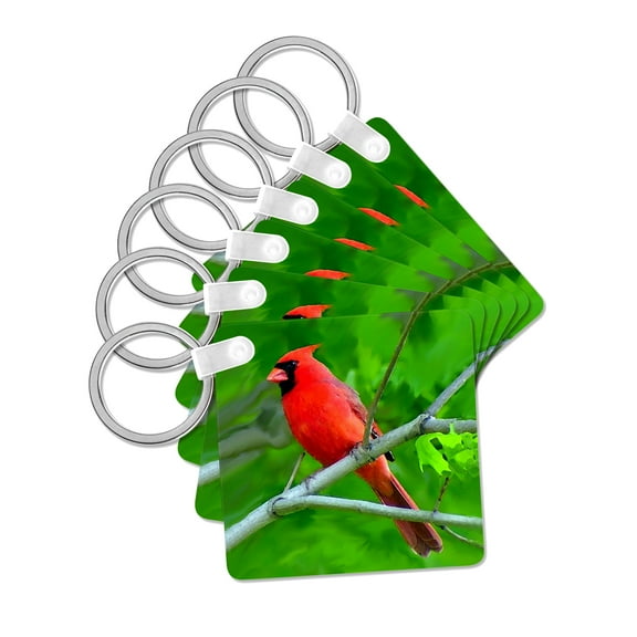 3dRose, Red Cardinal, set of 6 Key Chains