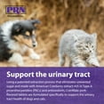thumbnail image 5 of PRN Pharmacal CranMate Cranberry Supplement - UTI Medicine, Chewable Cranberry Extract Nutritional Supplements for Dogs & Cats - Prevent Pet Urinary Tract Issues - 60 Chew Tabs (3 Pack), 5 of 7