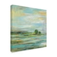 thumbnail image 2 of Trademark Fine Art 'Spring Solo Trees' Canvas Art by Silvia Vassileva, 2 of 3
