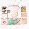 thumbnail image 2 of Newborn Baby Girl Gift Basket with Onesie, Plush, Toys, and More, 2 of 3