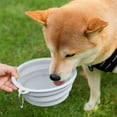 thumbnail image 6 of Yonrjhukm Portable Silicone Pet Bowl, Folding Outdoor Dog Bowl for Food and Water, Travel-Friendly Feeding Dish, Lightweight and Easy to Clean for Small and Medium Pets, 6 of 6