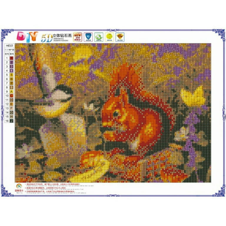 New Coming 5D DIY Diamond Painting Kits Cross Stitch With Frame