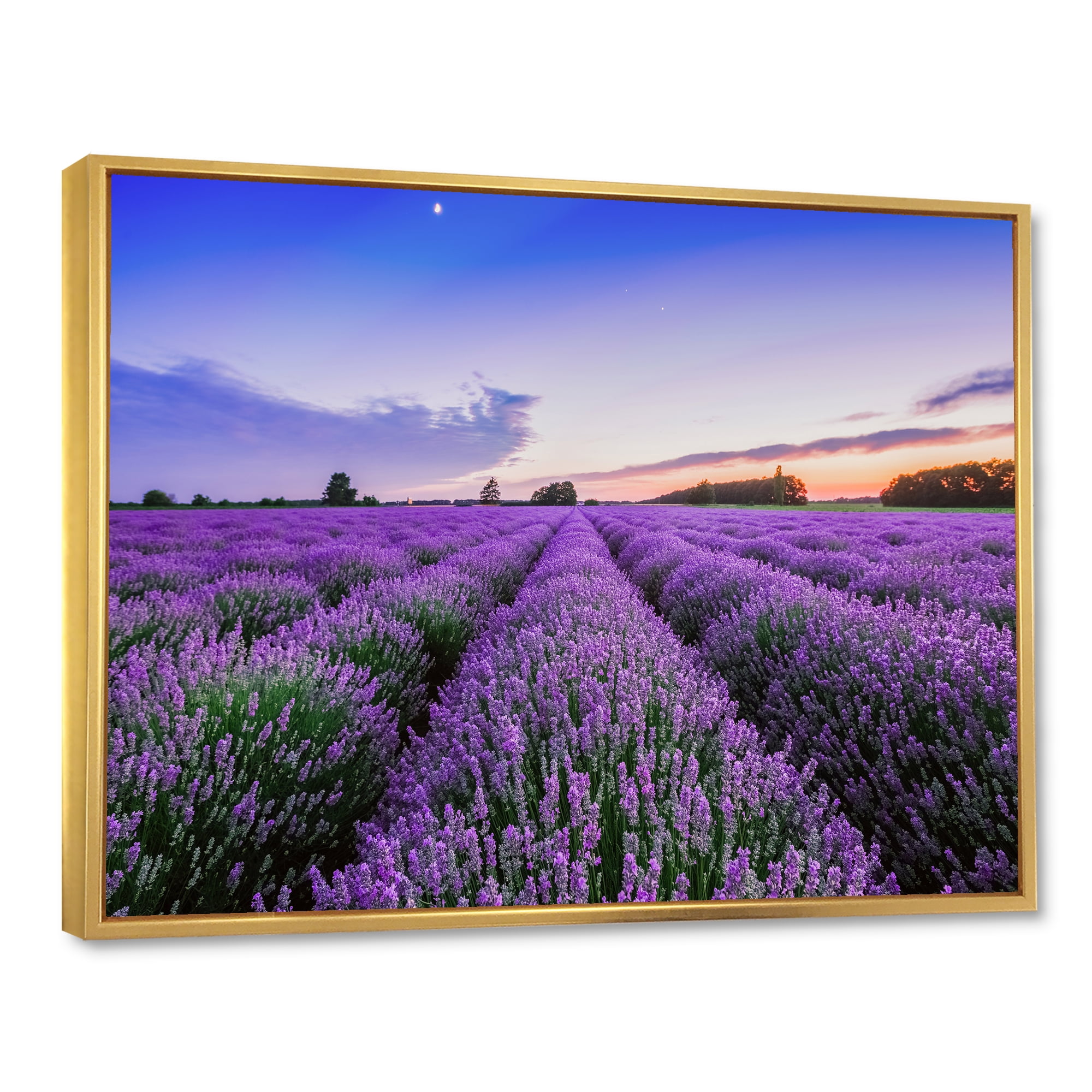 Designart 'Dramatic Clouds and Sunrise Over Lavender Field II' Farmhouse Framed Canvas Wall Art Print