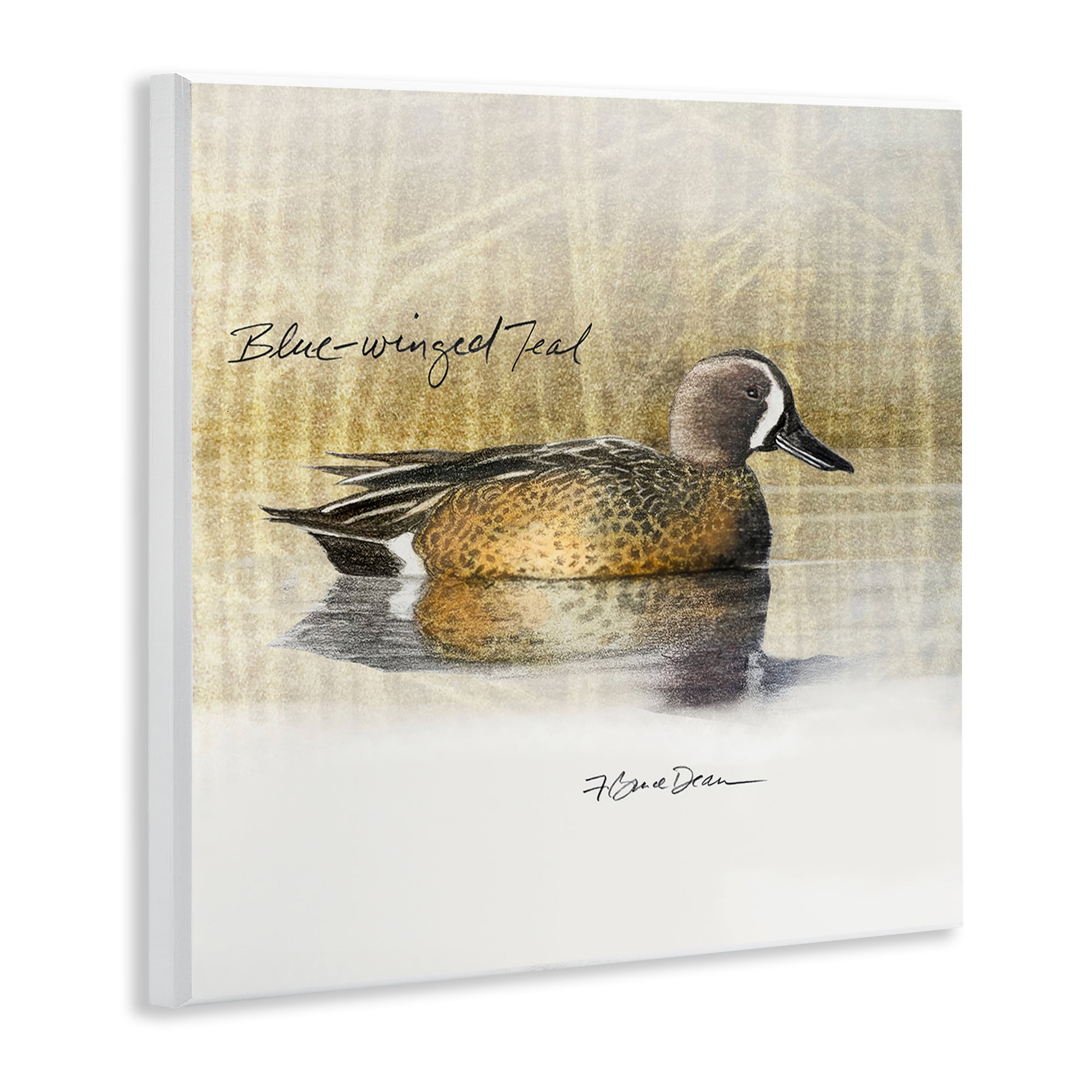 Stupell Industries Blue Winged Teal Duck Animals Painting Unframed Art Print Wall Art, 12 x 12