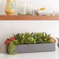 thumbnail image 3 of Rectangular Artificial Succulent Arrangement, Gray Planter, 3 of 5