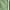 Green, variant on ZyeKqe Womens Plus Size Capri Pants for Women High Waisted Caroped Pants Straight Wide Leg Summer Capris